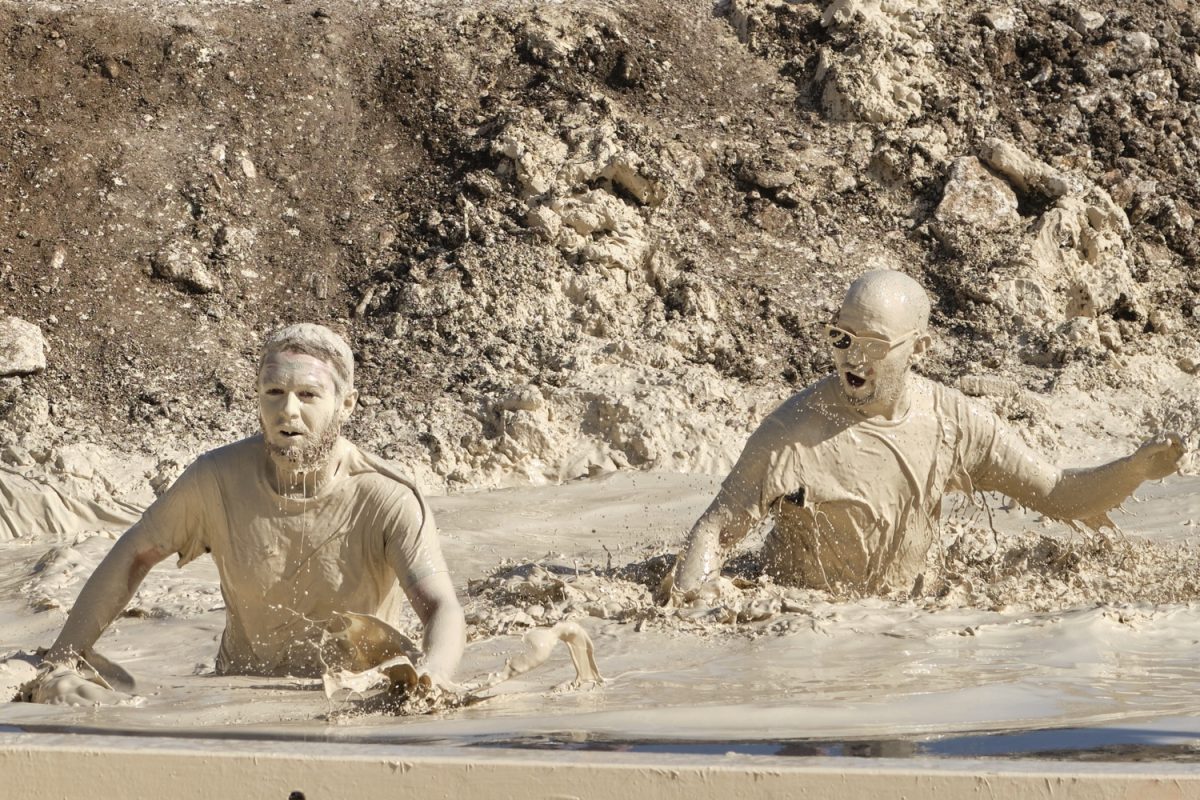 The Muddy Älbler